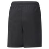 Teamliga Training kids short