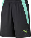 Teamliga Training kids short