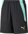 Teamliga Training kids short