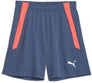 Teamliga Training kids short