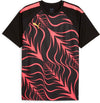 Individual Liga Graphic top