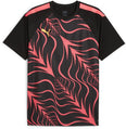 Individual Liga Graphic top