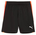 Individualliga Training short