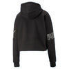 Puma Power Colorblock hoodie