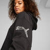 Puma Power Colorblock hoodie
