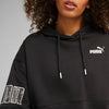 Puma Power Colorblock hoodie