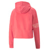 Puma Power Colorblock hoodie