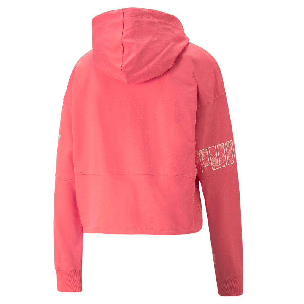 Puma Power Colorblock hoodie