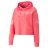 Puma Power Colorblock hoodie