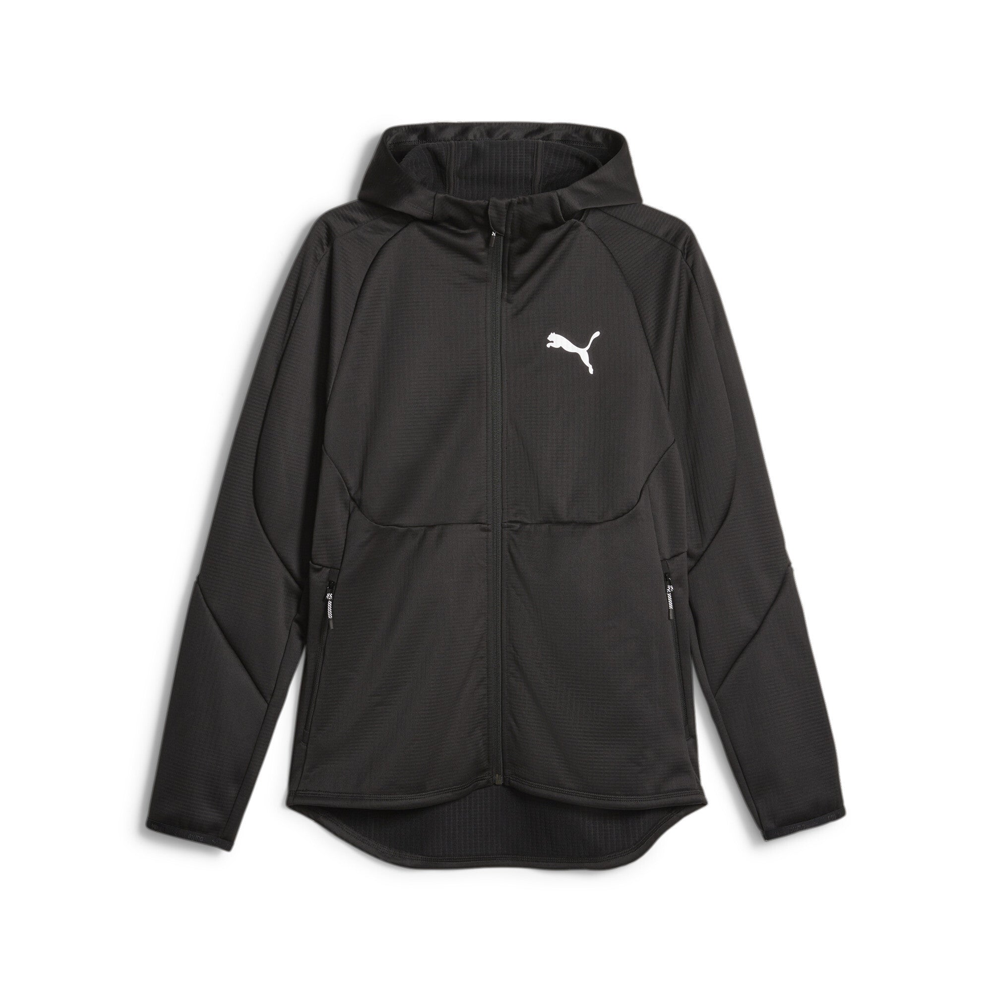 Evostripe Full-Zip hoodie