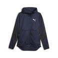 Evostripe Full-Zip hoodie