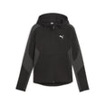 Evostripe Full-Zip hoodie