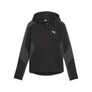 Evostripe Full-Zip hoodie