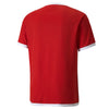 TeamLIGA shirt