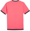 TeamLIGA shirt