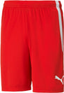 Teamliga short