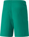Teamliga short