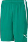 Teamliga short