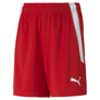 Teamliga kids short