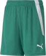 Teamliga kids short