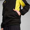 Borussia Dortmund FtblArchive jas
