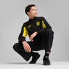 Borussia Dortmund FtblArchive jas