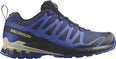 Xa Pro 3d V9 Gore-tex wandelschoenen