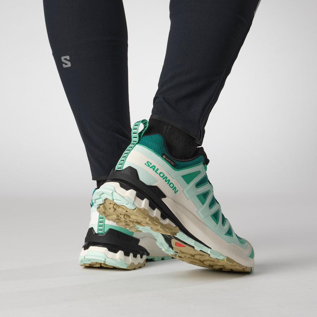 XA Pro 3d V9 Gore-tex wandelschoenen