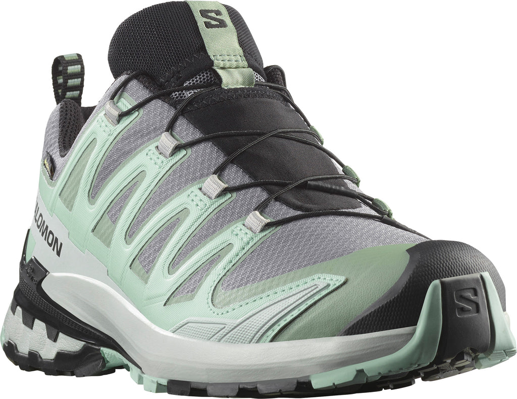 XA Pro 3d V9 Gore-tex wandelschoenen
