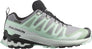 XA Pro 3d V9 Gore-tex wandelschoenen