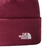 Norm beanie