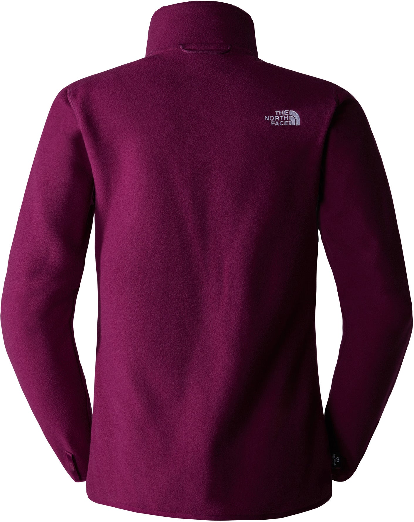 100 Glacier Fleece vest