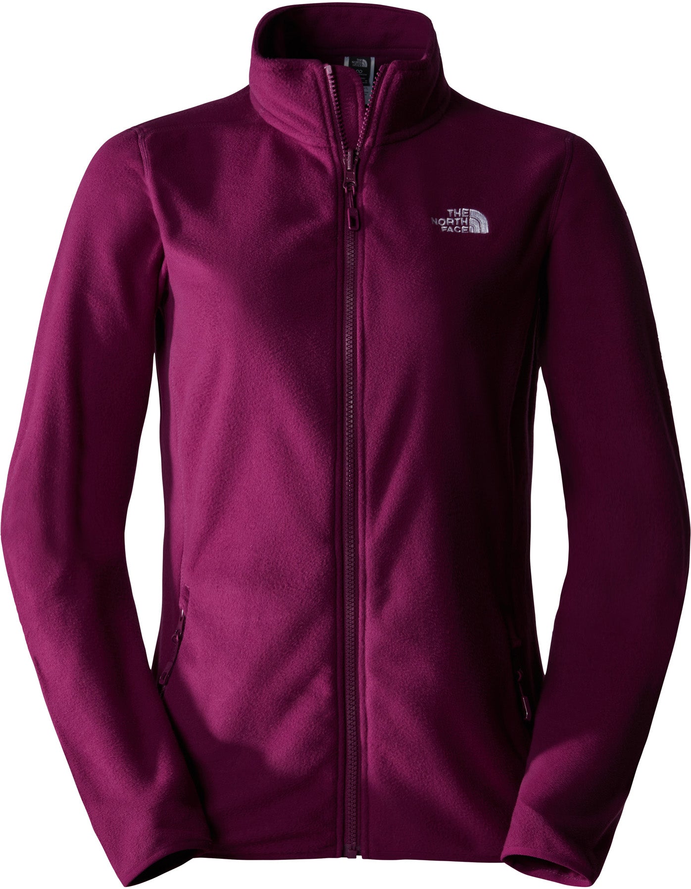 100 Glacier Fleece vest