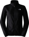 100 Glacier Fleece vest