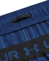 Vanish Woven 6in short
