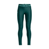 Armour legging