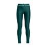 Armour legging