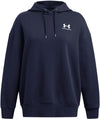 Icon Fleece hoodie