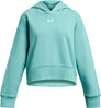 Rival Fleece Crop hoodie