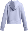 Rival Fleece Crop hoodie