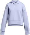 Rival Fleece Crop hoodie