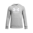 Rival Fleece hoodie