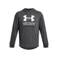 Rival Terry Graphic hoodie