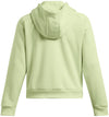 Armour Fleece Pro hoodie