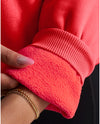 Armour Fleece Pro hoodie