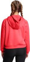 Armour Fleece Pro hoodie