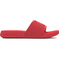 Ignite Select slippers