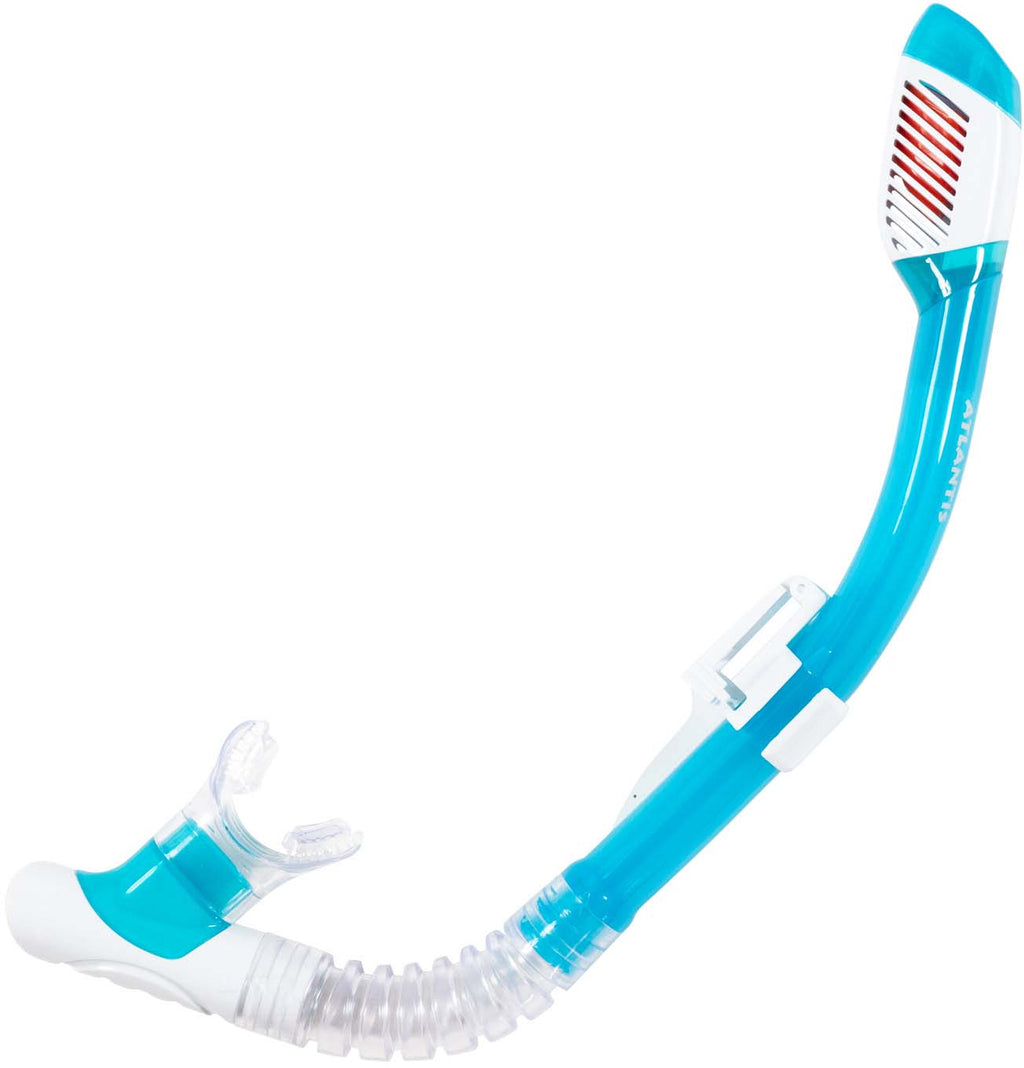 Abaco snorkel