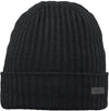 Wilbert Turnup beanie