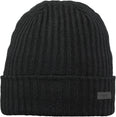 Wilbert Turnup beanie